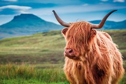 Großbritannien mit Costa Favolosa