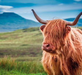 Großbritannien mit Costa Favolosa