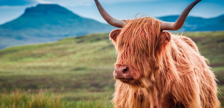 Großbritannien mit Costa Favolosa