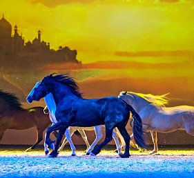 Show CAVALLUNA Die Farben des Lebens Hamburg
