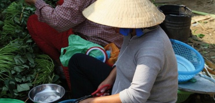 Vietnam - Rundreise & Baden