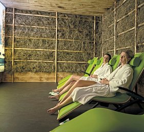 DAS SIEBEN 4s - Adults Only