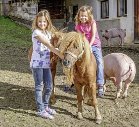 Hotel Gasthof Andreas