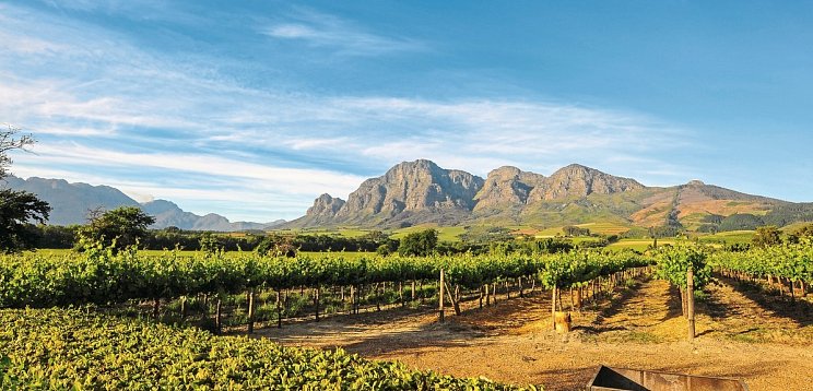 Rundreise Südafrika – Vom Kruger-Nationalpark zum Tafelberg