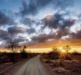 Rundreise Südafrika – Vom Kruger-Nationalpark zum Tafelberg