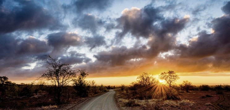 Rundreise Südafrika – Vom Kruger-Nationalpark zum Tafelberg