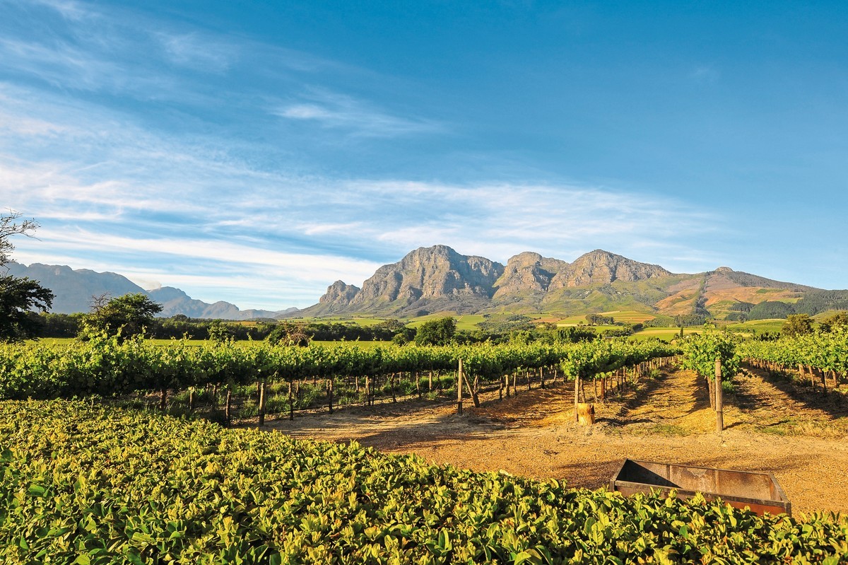 Rundreise Südafrika – Vom Kruger-Nationalpark zum Tafelberg