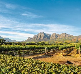 Rundreise Südafrika – Vom Kruger-Nationalpark zum Tafelberg