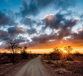 Rundreise Südafrika – Vom Kruger-Nationalpark zum Tafelberg