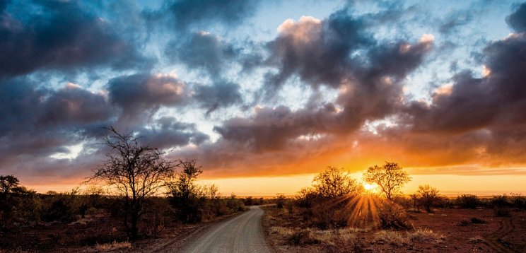 Rundreise Südafrika – Vom Kruger-Nationalpark zum Tafelberg