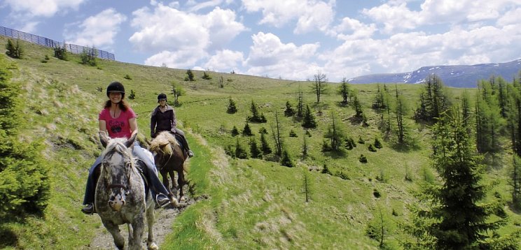 Familienhotel Hinteregger