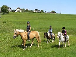Ponyreiten