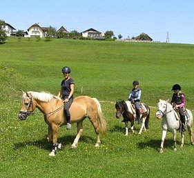 Familienparadies Reichenhauser