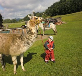 Familienparadies Reichenhauser
