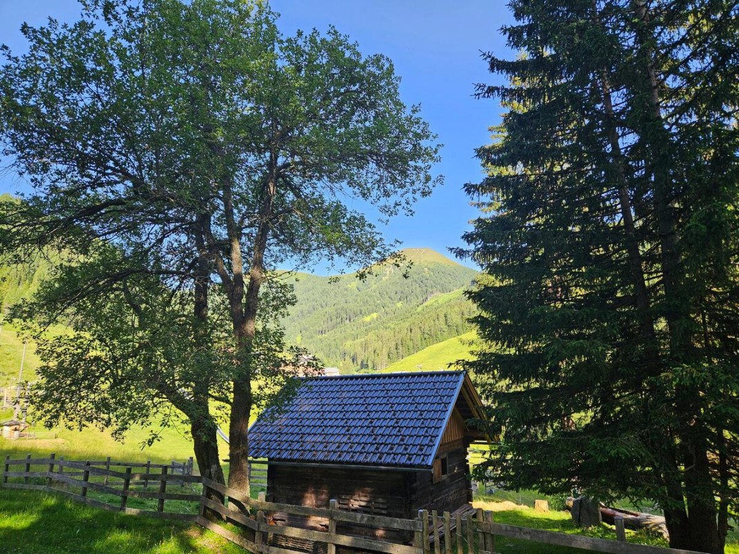Familienhotel Nockalm