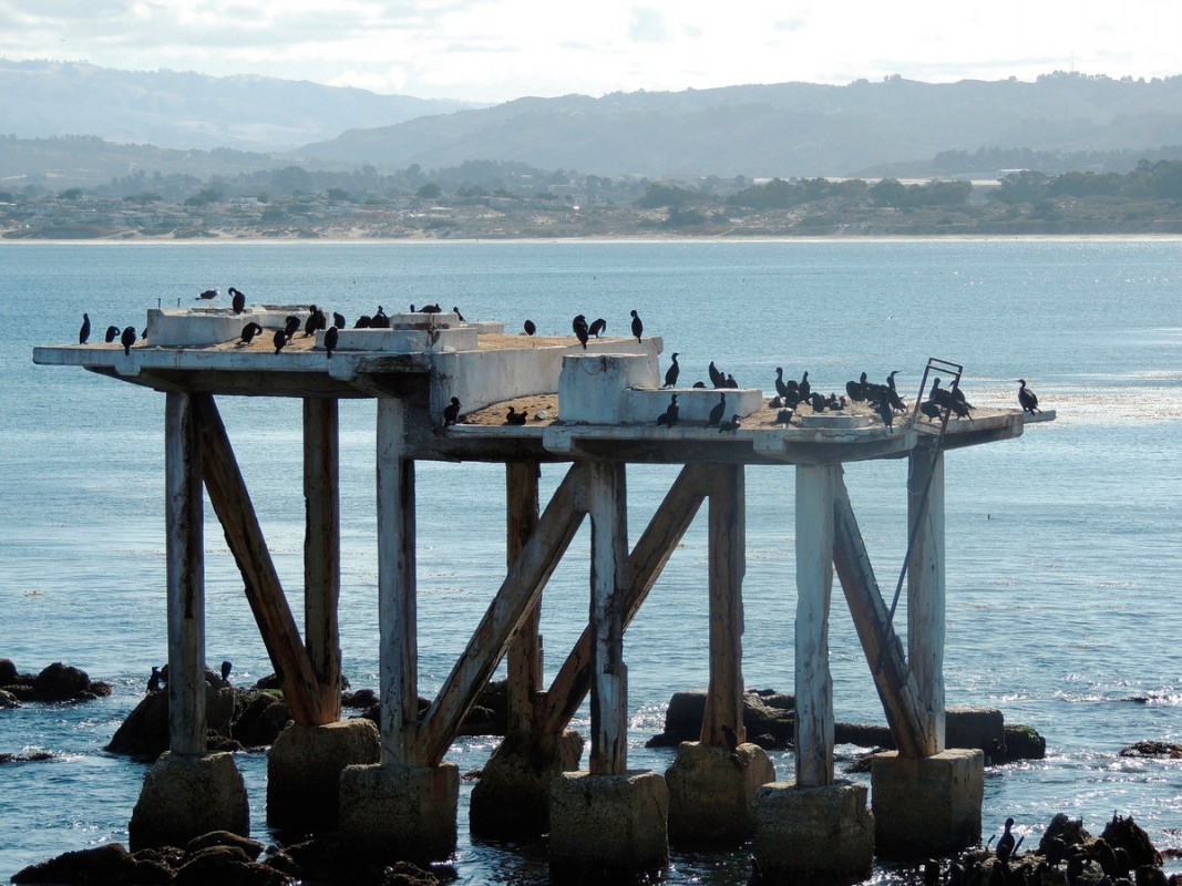 Westküste & Nationalparks