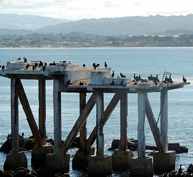 Westküste & Nationalparks