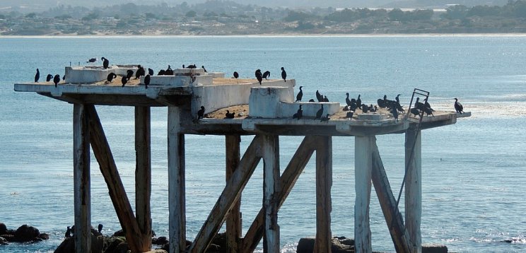 Westküste & Nationalparks