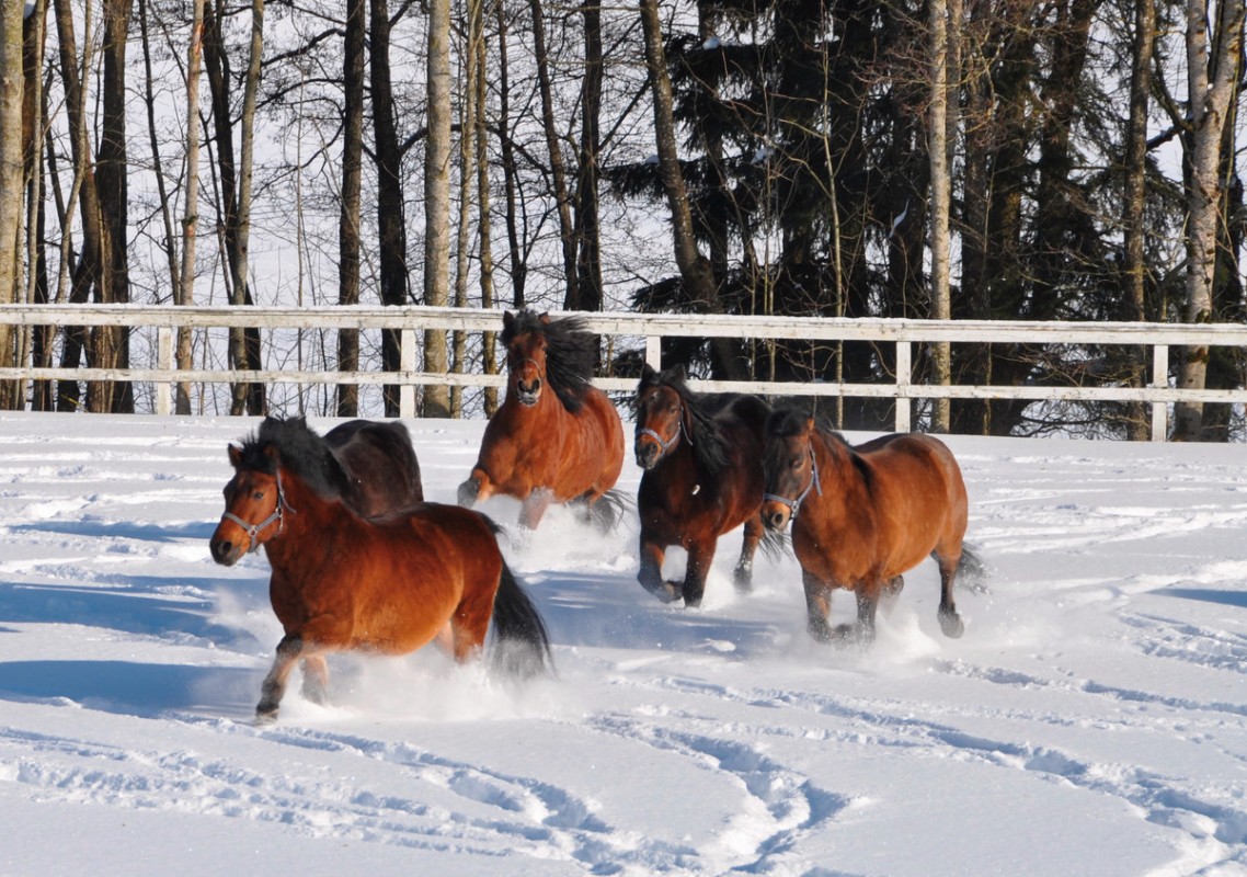 Aldiana Club Ampflwang