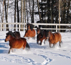 Aldiana Club Ampflwang 