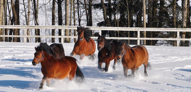 Aldiana Club Ampflwang