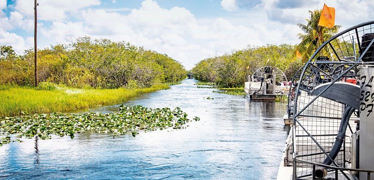 Sunny Side of Florida