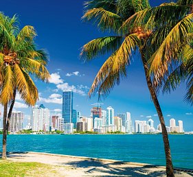 Miami & Karibik mit MSC Poesia