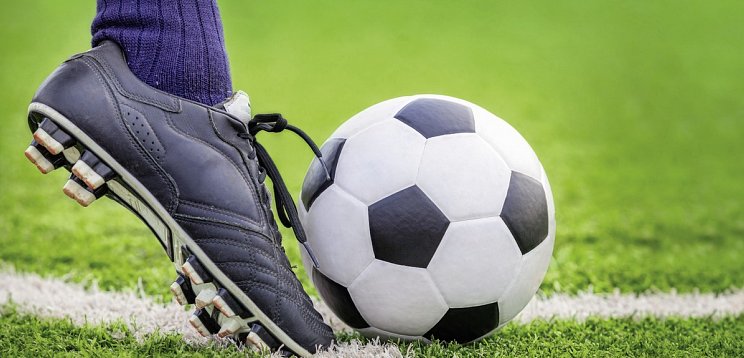 Deutsche Bundesliga FC Bayern München 2024/25