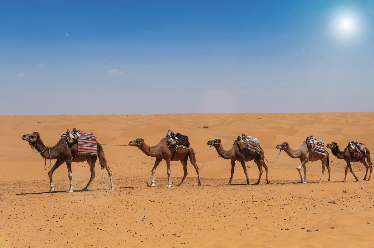 Zauberhaftes Marokko - Königsstädte & Wüste