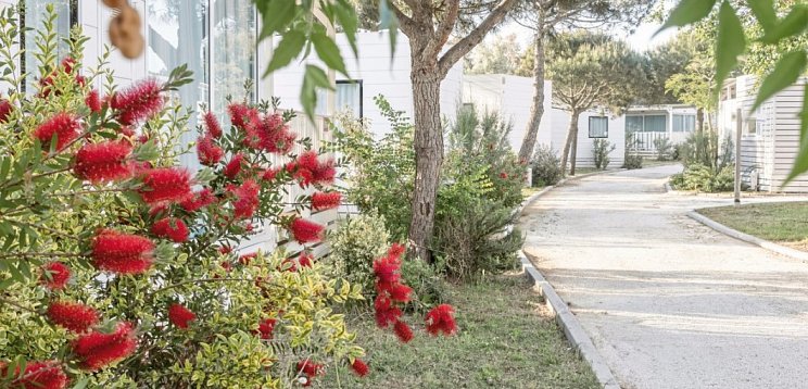 Sentido Punta Marina Premium Camp