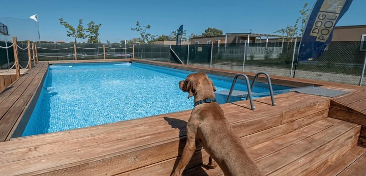 Sentido Riccione Premium Camp