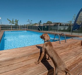 Sentido Riccione Premium Camp