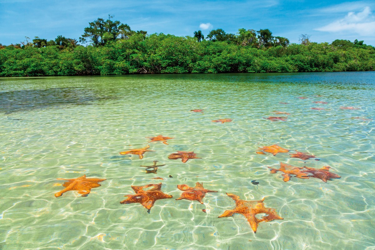 Seattle bis Miami & Panamakanal mit MSC Poesia