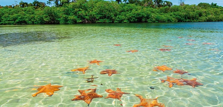 Seattle bis Miami & Panamakanal mit MSC Poesia