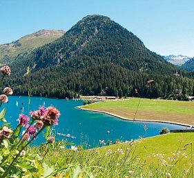 Alpine Circle Bahnwandern