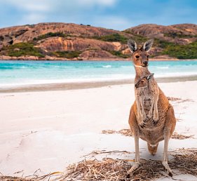 Rundreise Australien - Von Sidney nach Melbourne