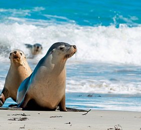Rundreise Australien - Von Sidney nach Melbourne