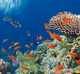 Rundreise Australien - Von Sidney nach Melbourne