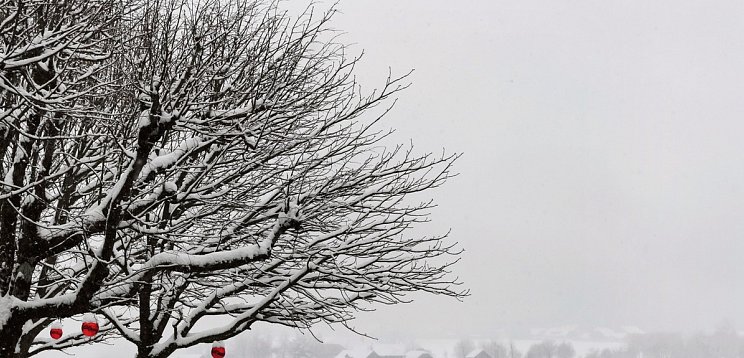 Salzkammergut Advent