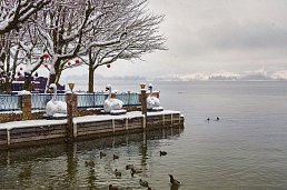 Wolfgangseer Winter