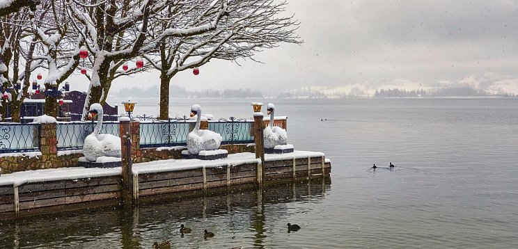 Salzkammergut Advent