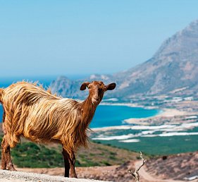Italien, Griechenland, Zypern, Ägypten & Kroatien mit MSC Lirica