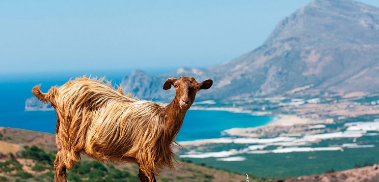 Italien, Griechenland, Zypern, Ägypten & Kroatien mit MSC Lirica