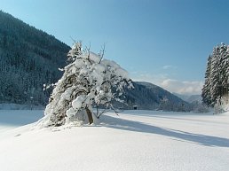 Garten im Winter - Hotel Waldesruh