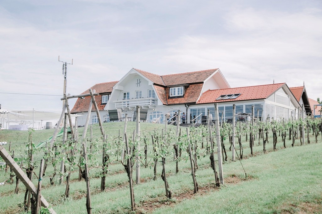 WeinZeit am Hannersberg