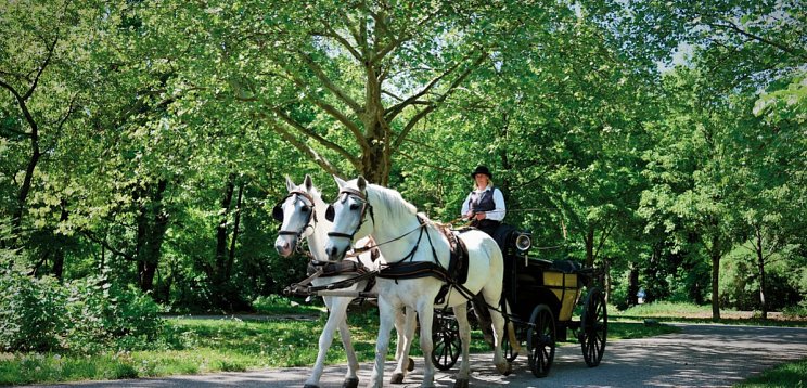 Jaz in the City Vienna