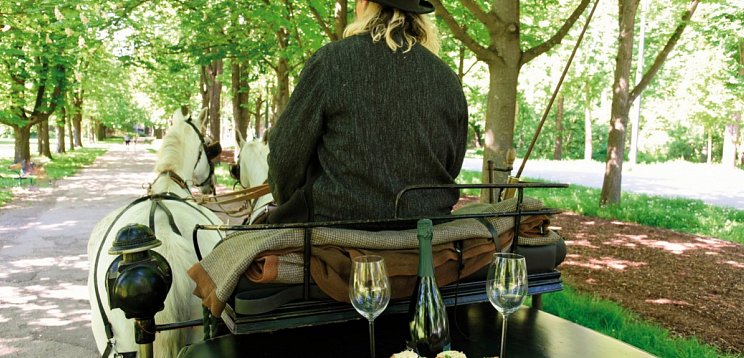 Jaz in the City Vienna