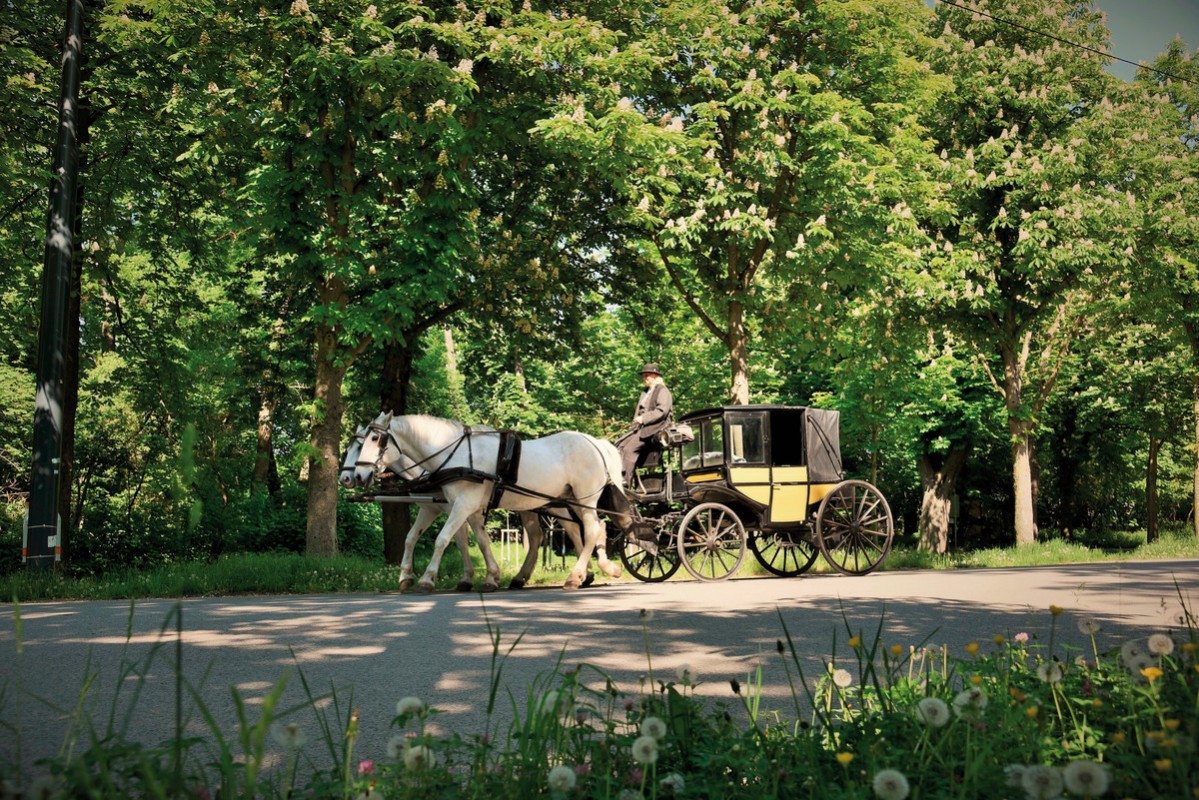 Jaz in the City Vienna