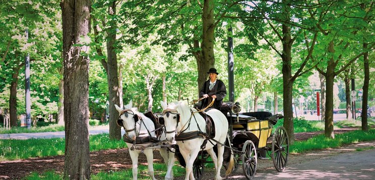 Jaz in the City Vienna