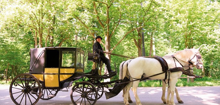 Jaz in the City Vienna